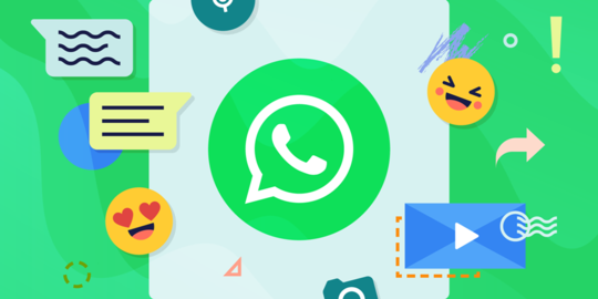 WhatsApp filter cracked free download