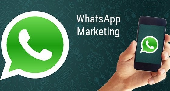 WhatsApp Sifting Software Targeted Marketing