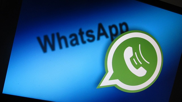 How to extract phone number from whatsapp？