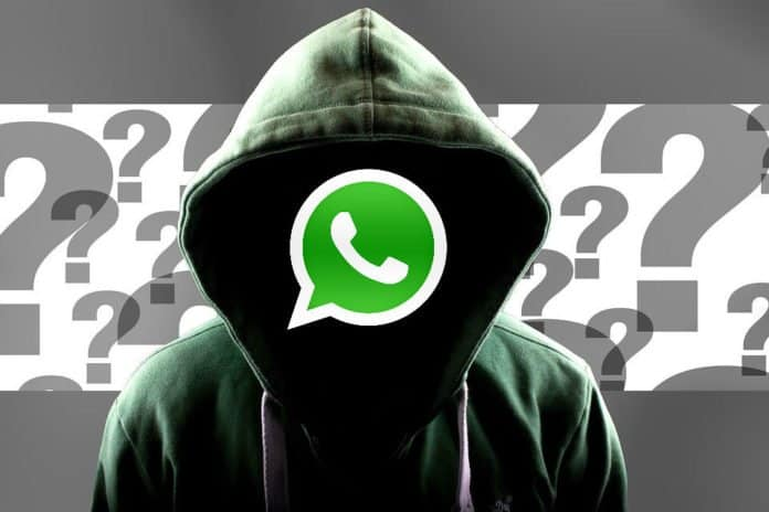 How to get active Whatsapp contacts?