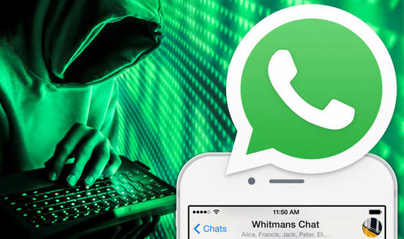 How to check whatsapp number?