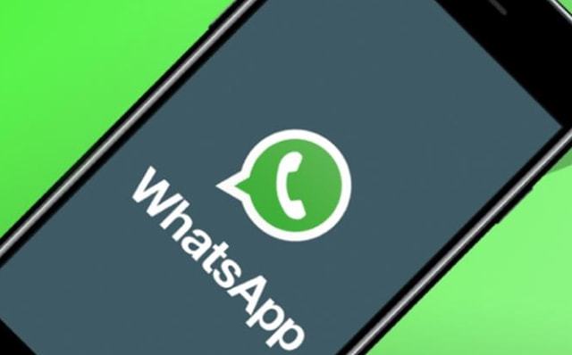 WhatsApp Marketing Software Roundup