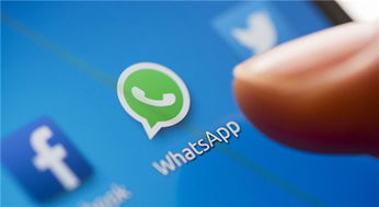 WhatsApp Filter software lite