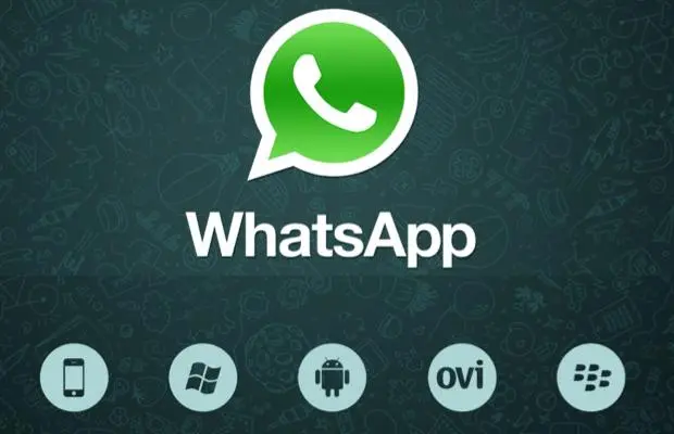 WhatsApp efficient number screening software recommendations