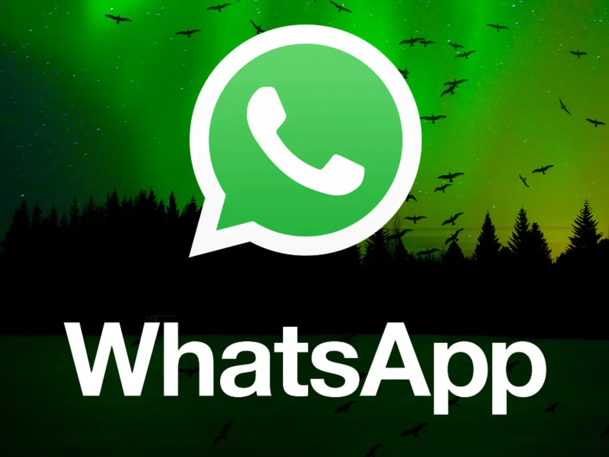 WhatsApp Contact Extractor - Extract All WhatsApp Contacts