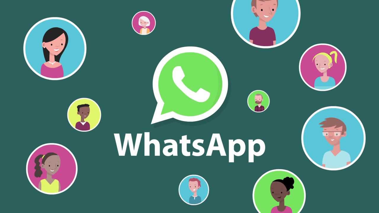 WhatsApp contact number data information filtering
