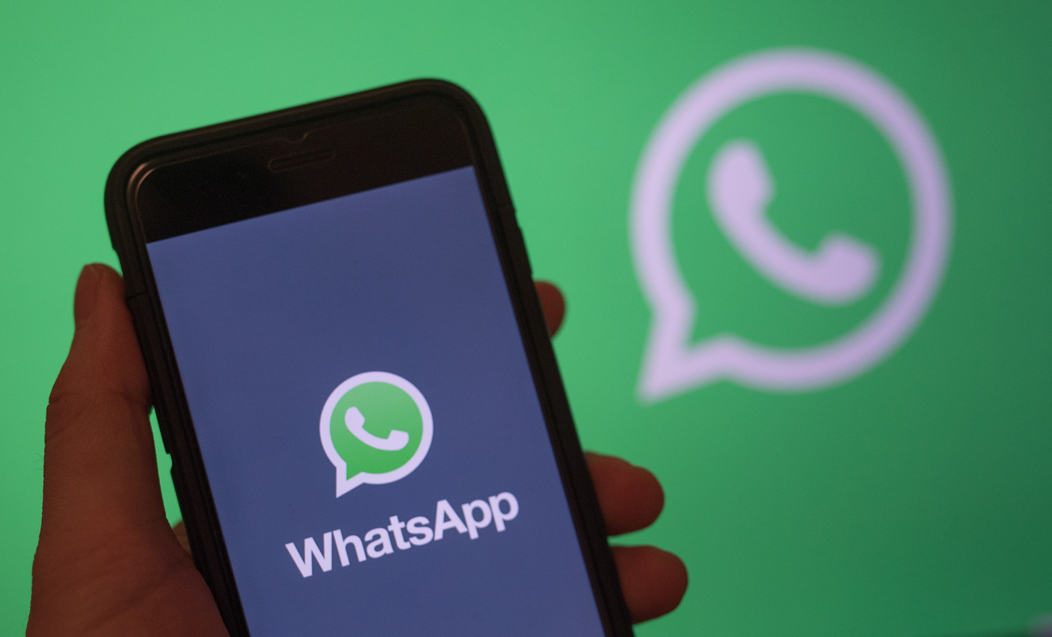 WhatsApp Filtering Helps You Filters French Phone Numbers