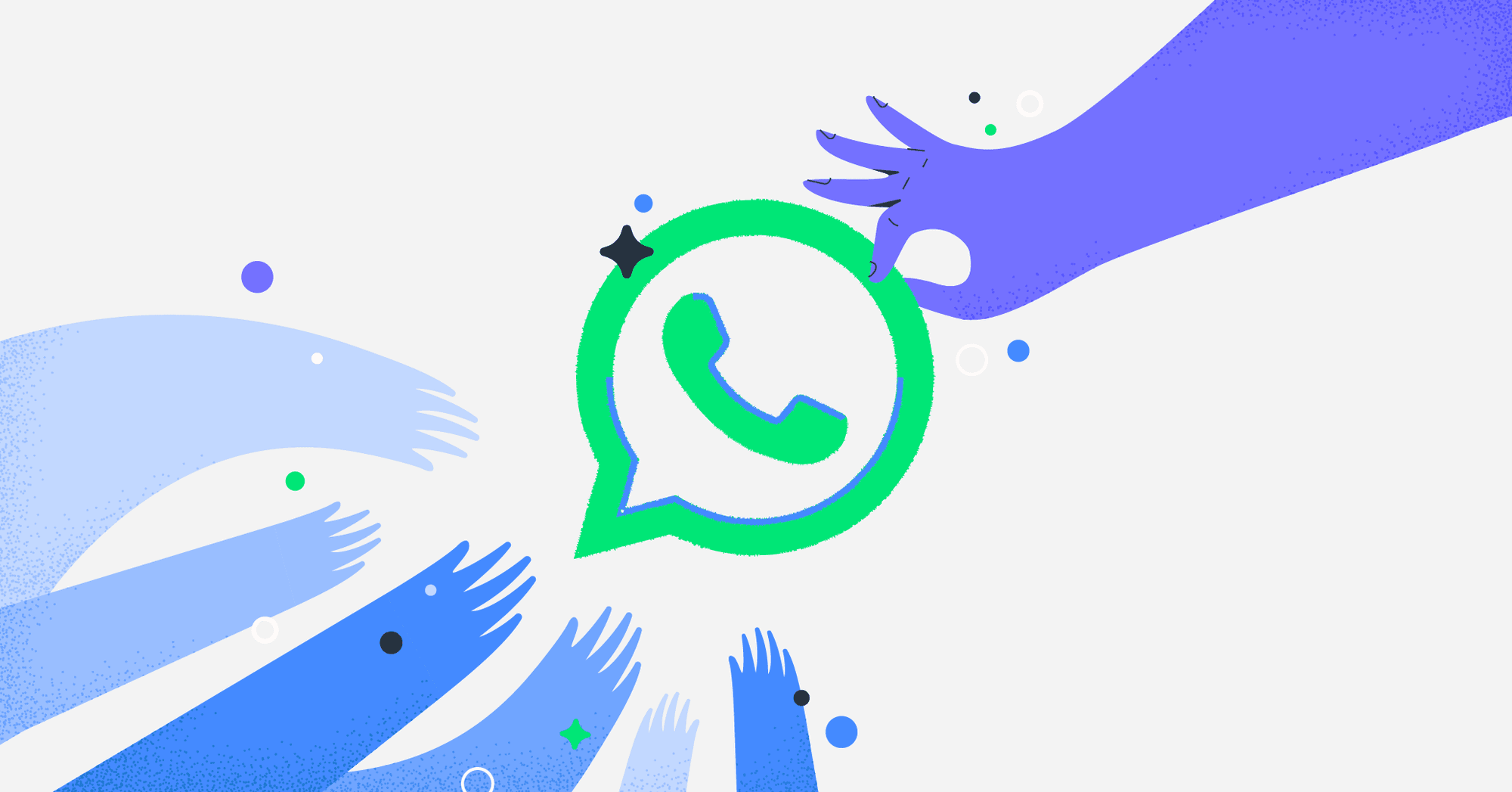 What features does the WhatsApp Advanced Filtering Software offer？