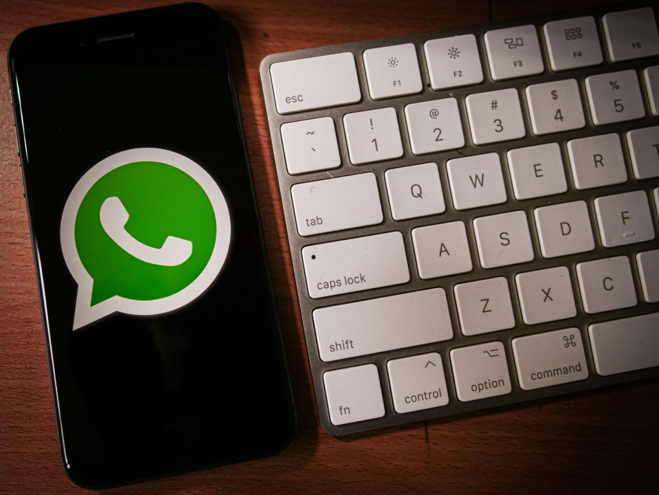 Efficient Marketing by Using WhatsApp Number Screening to Obtain User Information