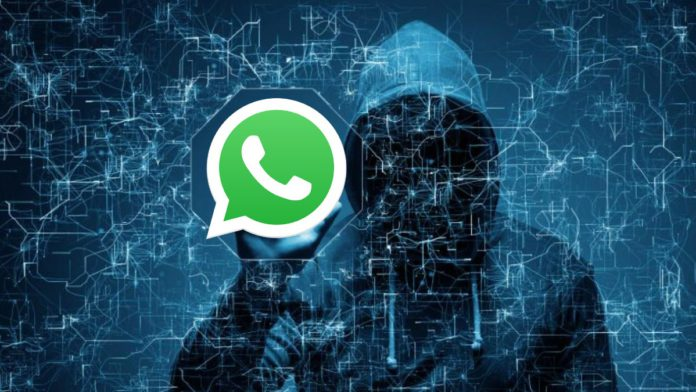 Free WhatsApp Contact Extractor