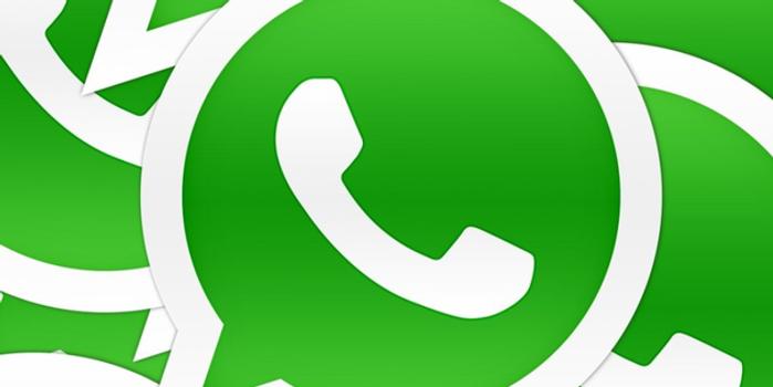 WhatsApp Multi-Format Mass Mailing Software,WhatsApp group sending