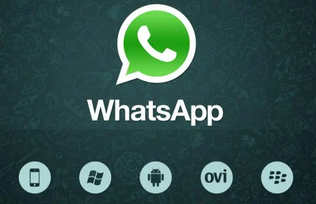 WhatsApp efficient number screening software