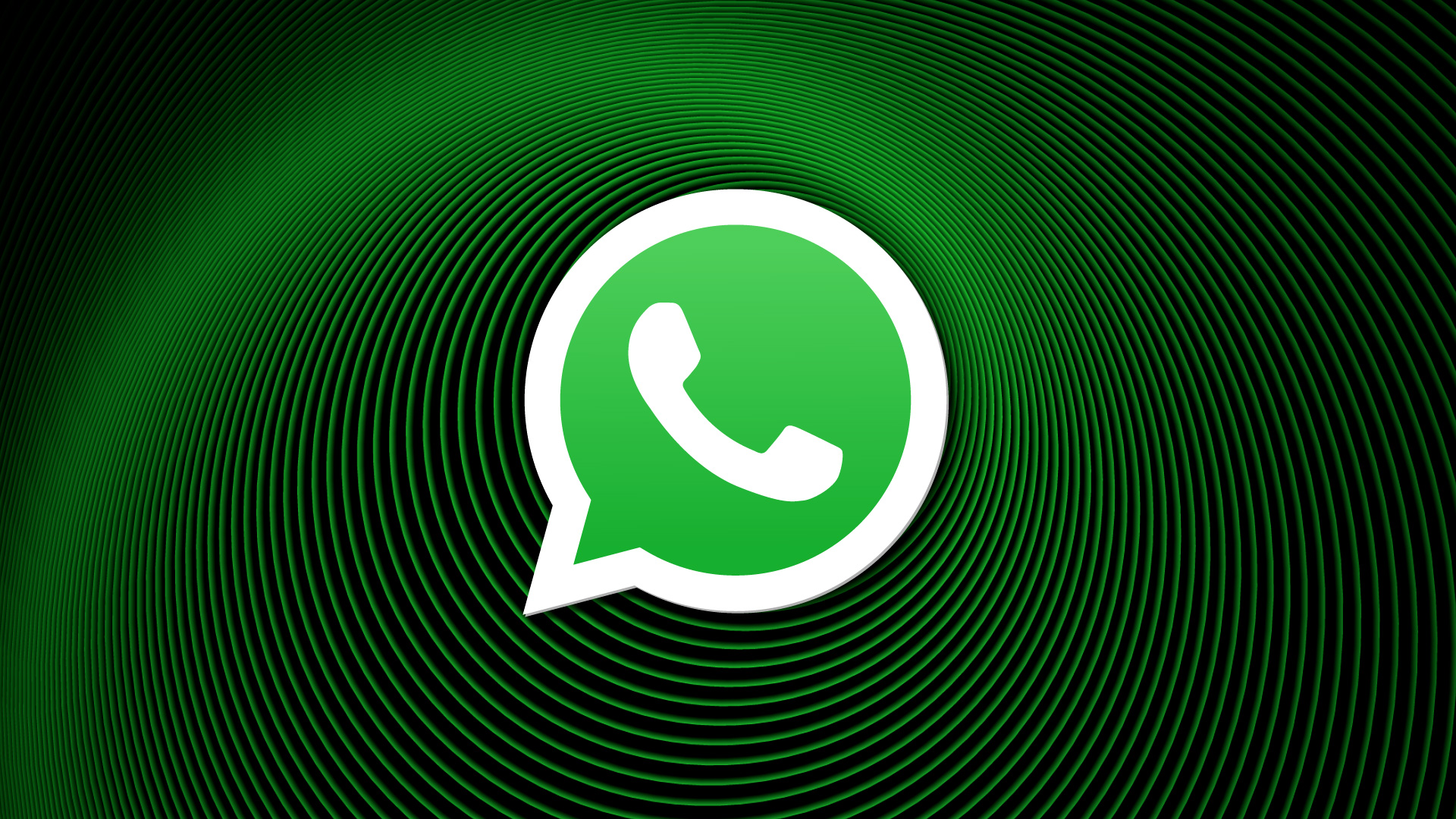 WhatsApp Number Checker Software